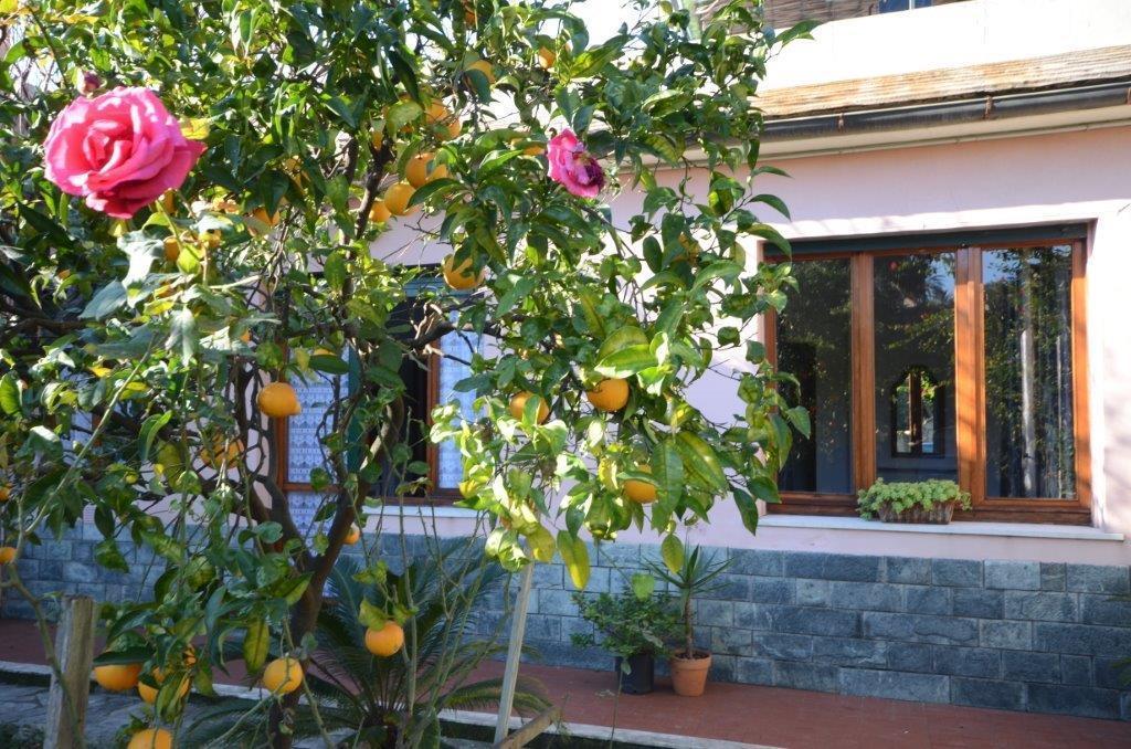 Casa Tra Il Verde E Il Blu Генуа Стая снимка