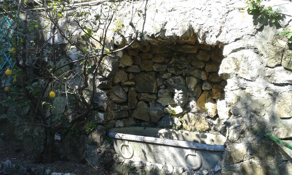 Casa Tra Il Verde E Il Blu Генуа Стая снимка